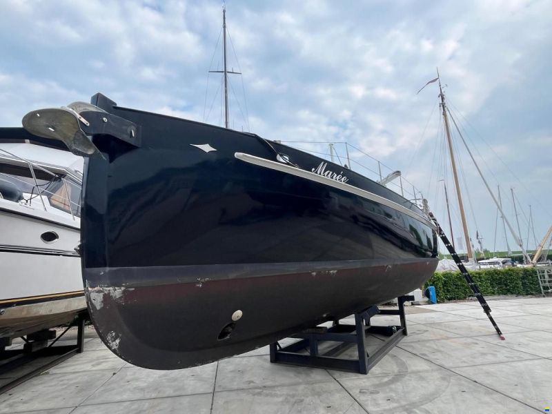 Puffin 42