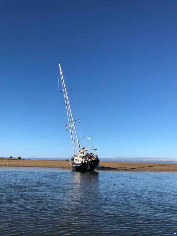 Puffin 42
