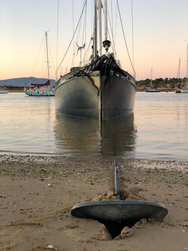 Puffin 42
