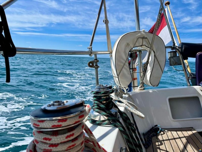 Puffin 42