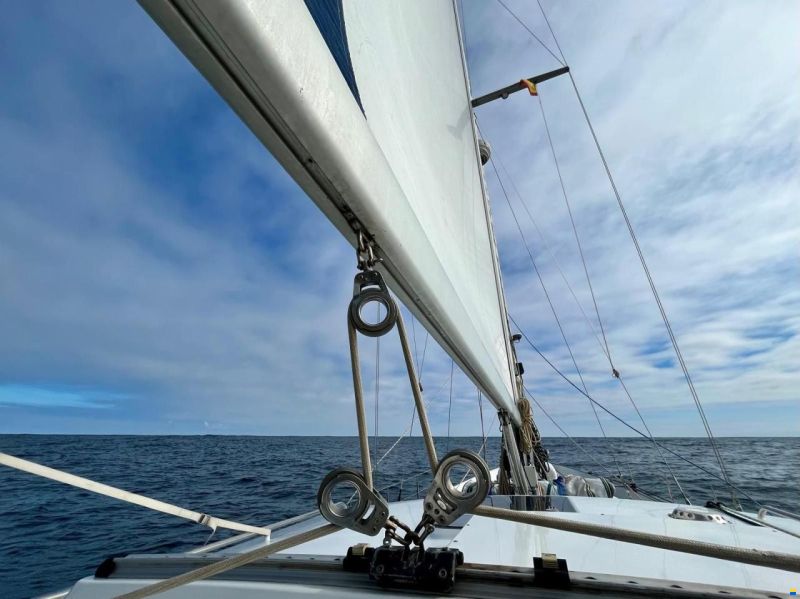 Puffin 42