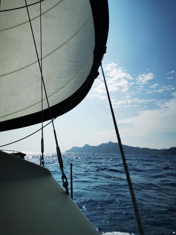 Prout Snowgoose 37