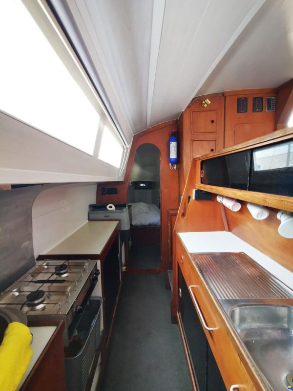 Prout Snowgoose 37