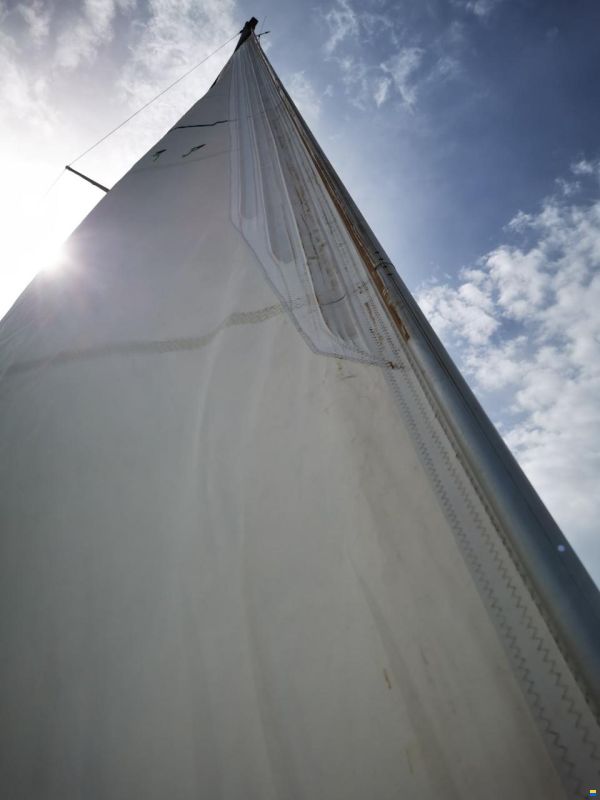 Prout Snowgoose 37