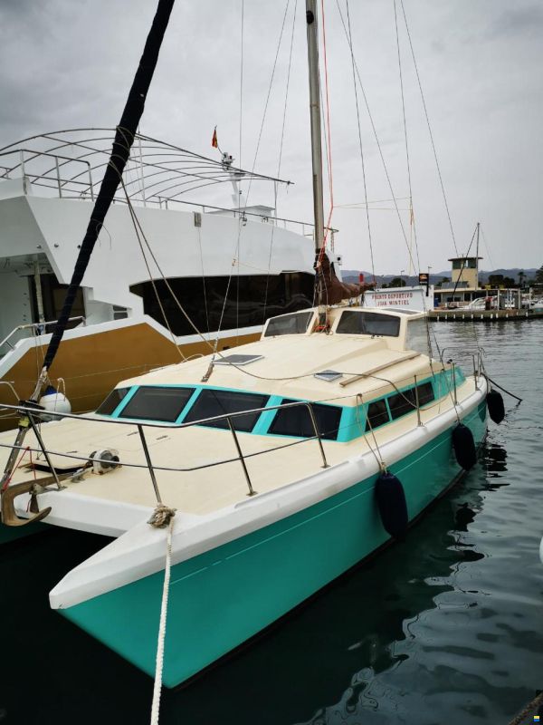 Prout Snowgoose 37
