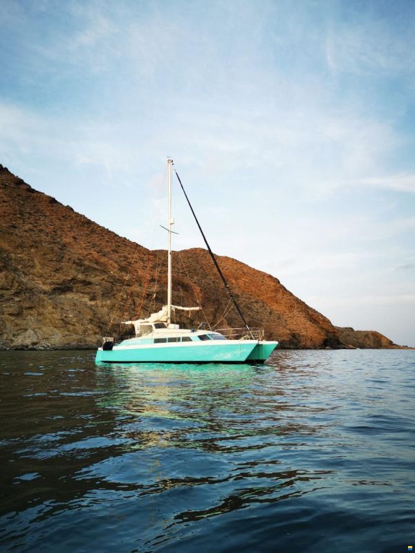 Prout Snowgoose 37