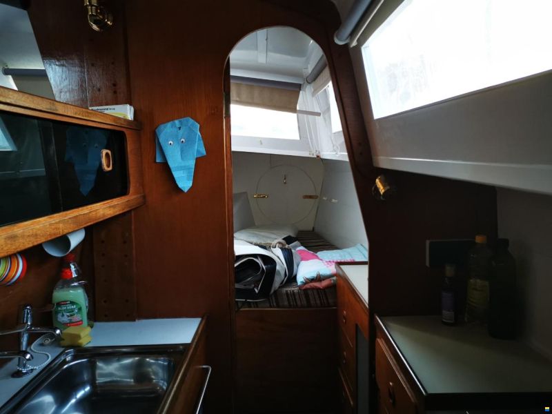 Prout Snowgoose 37