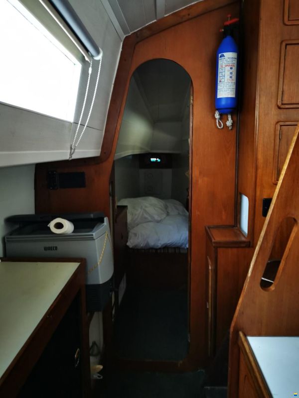 Prout Snowgoose 37