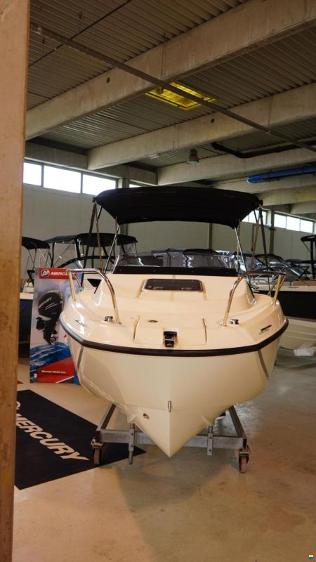 Quicksilver Activ 555 Cabin
