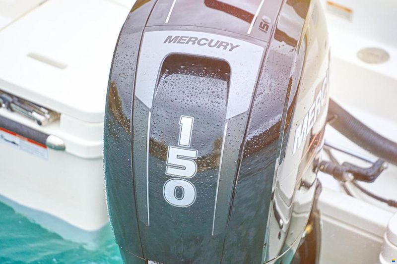 Quicksilver Activ 605 Sundeck