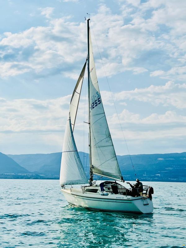 Pelle Peterson Maxi Fenix