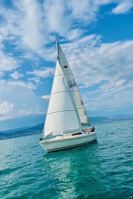 Pelle Peterson Maxi Fenix