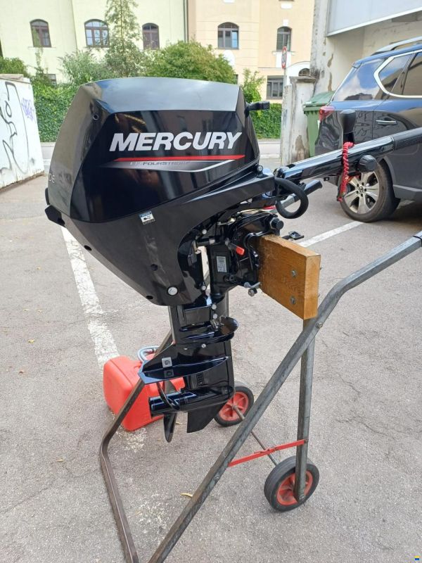 Mercury F 15 MH EFi