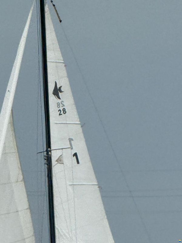 Henningsen & Steckmest Scalar28