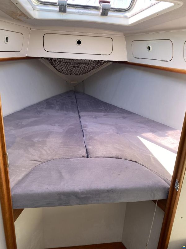 Dehler 39 CWS
