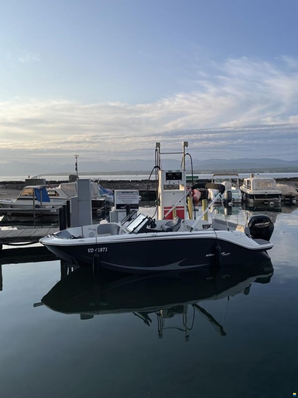 Bayliner M19