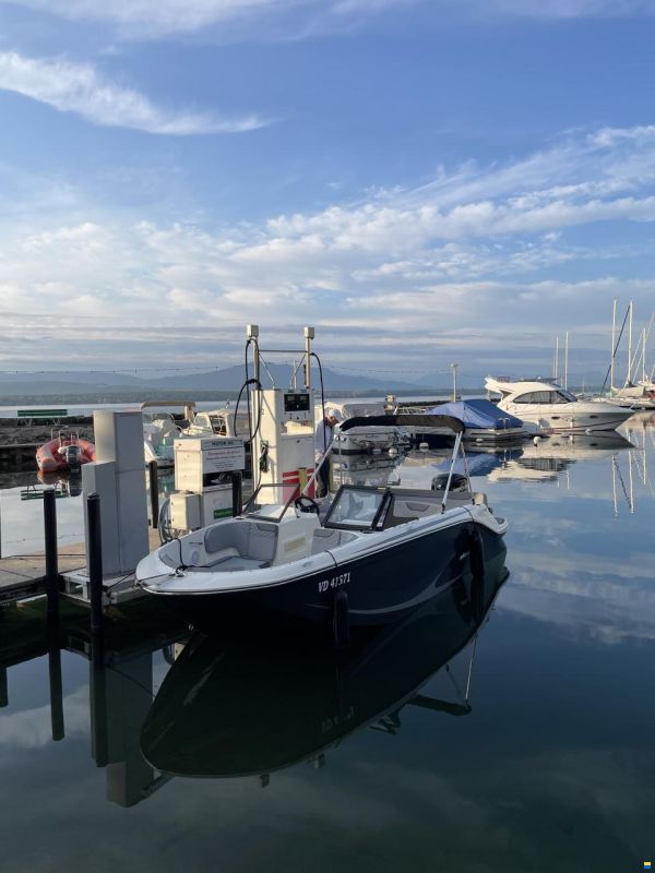 Bayliner M19
