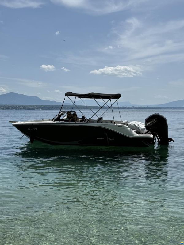 Bayliner M19
