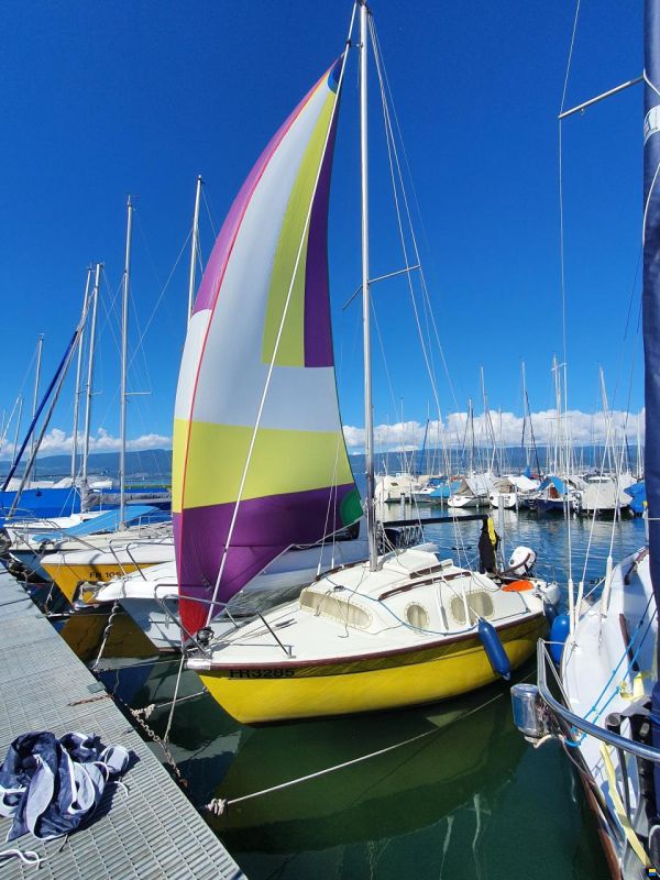 Cobramold Leisure 17