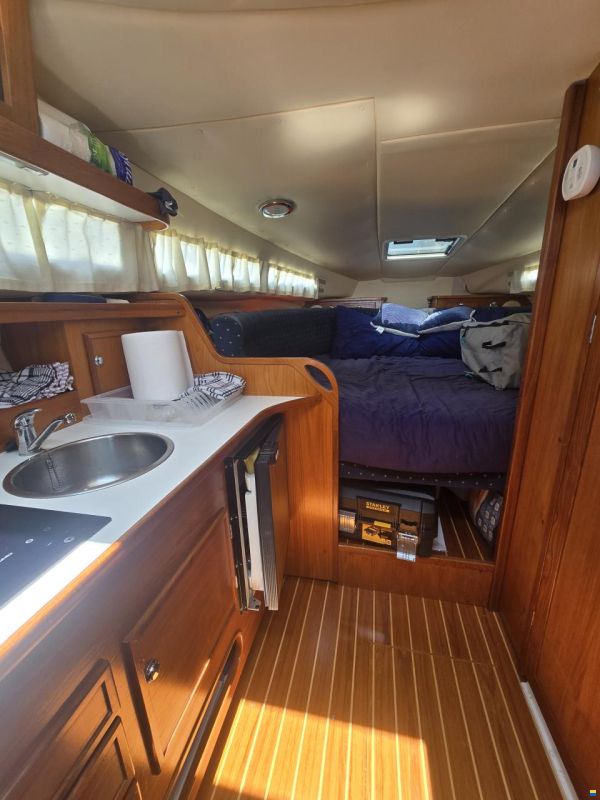Marex Sun Cruiser 290