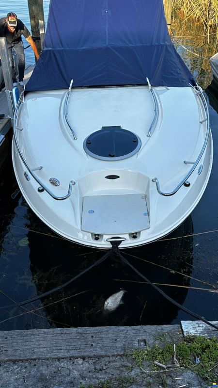 Stingray 235CR