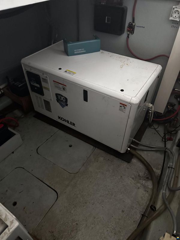 Dasyc 42