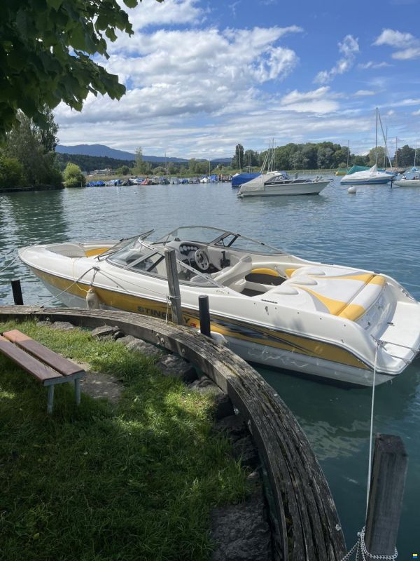 Stingray 230LX