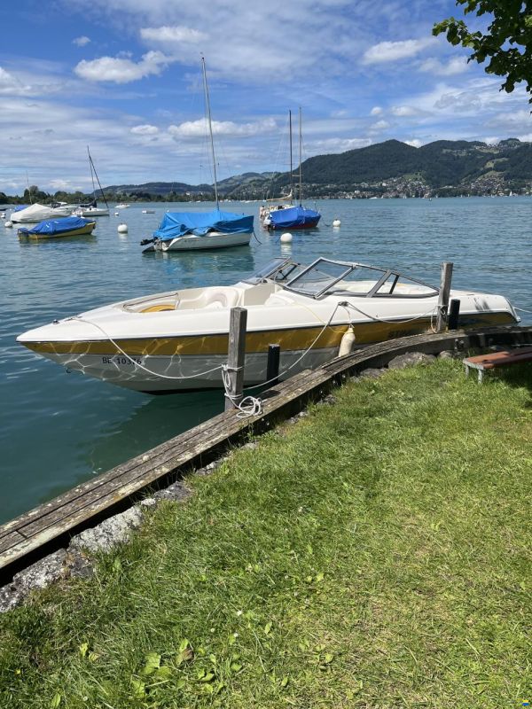 Stingray 230LX