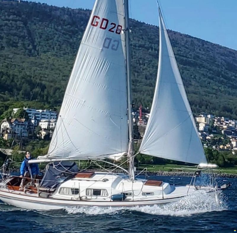 Great Dane 28, Sændersen Bæss