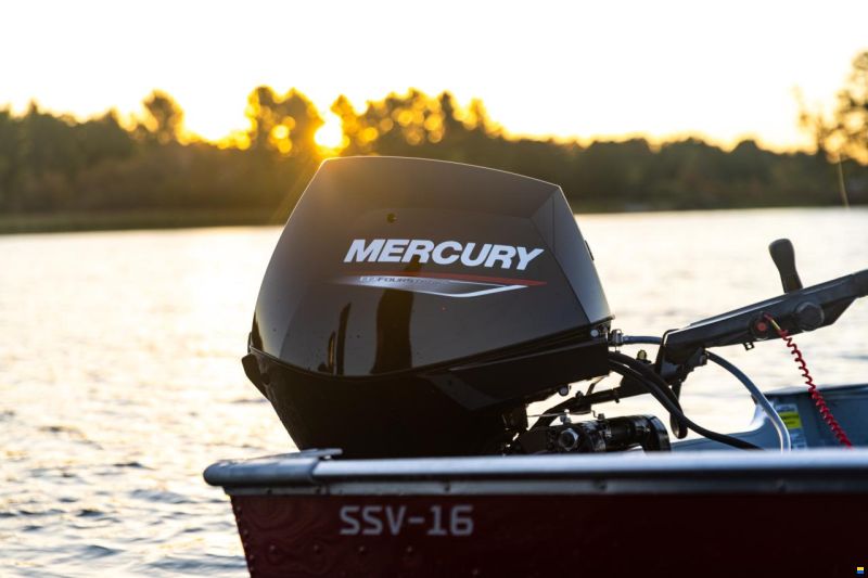 Mercury F 30 EPT EFI