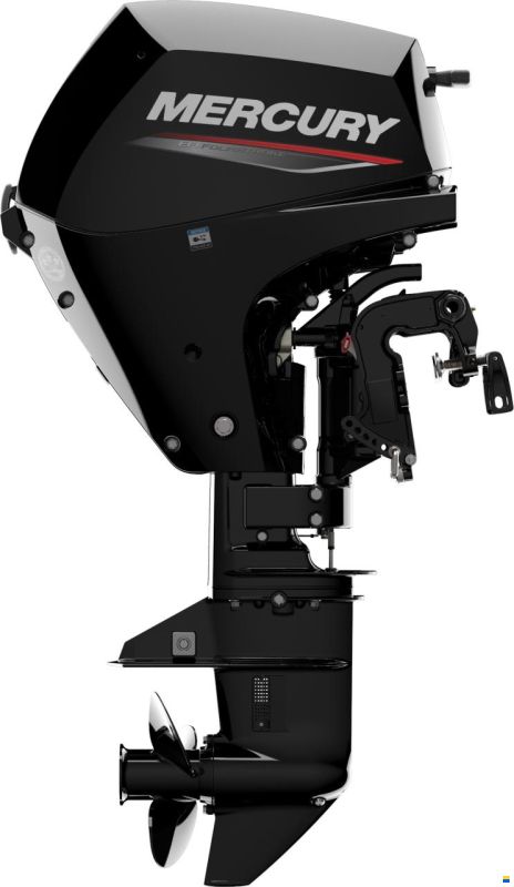 Mercury F 15 ELPT EFI