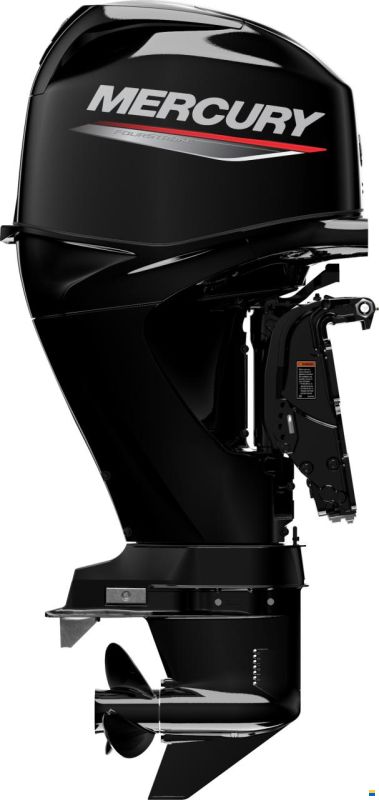 Mercury F 40 ELPT EFI 4Zyl.