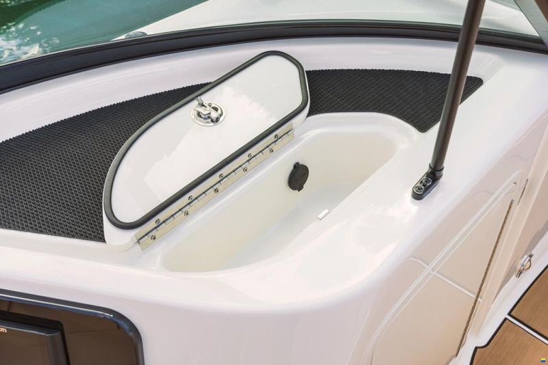 Sea Ray SDX 250 SURF
