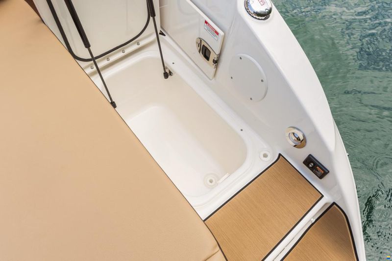 Sea Ray SDX 250 SURF