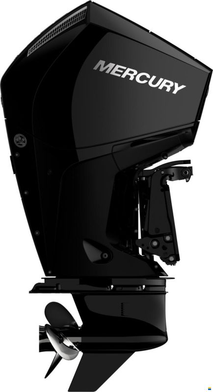 Mercury F 225 XL DS V6