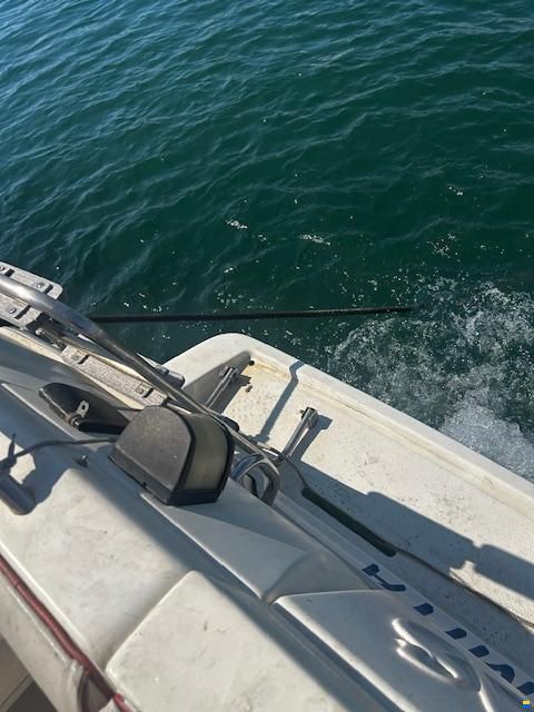 Sealine 218
