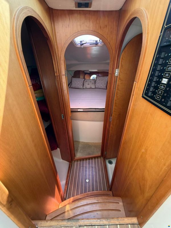 Starfisher 30