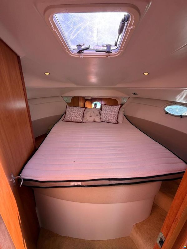 Starfisher 30
