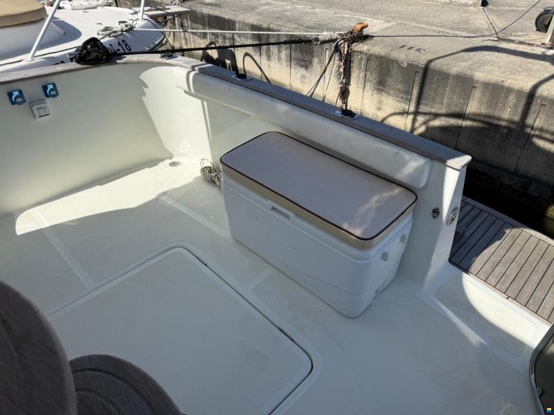 Starfisher 30