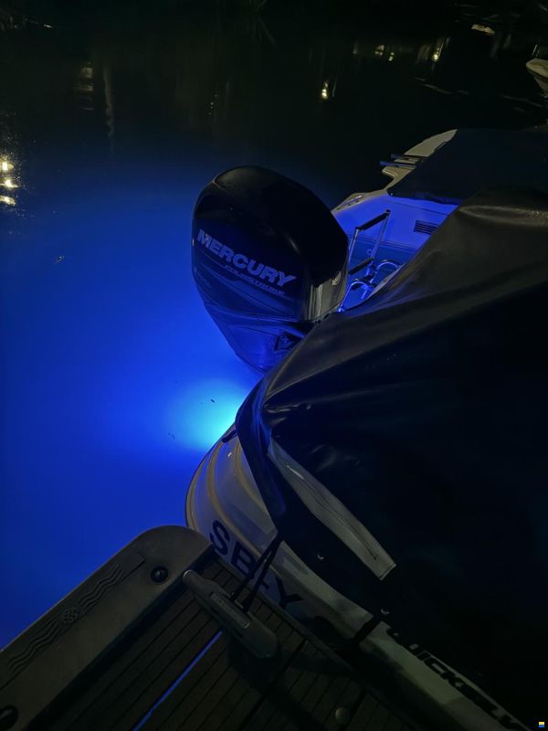 Quicksilver Activ 430 Cabin