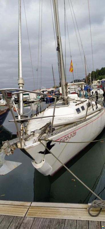 Inerga PUMA34