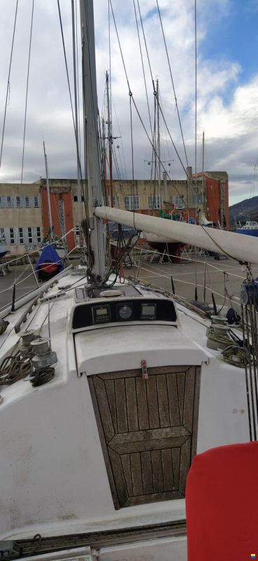 Inerga PUMA34