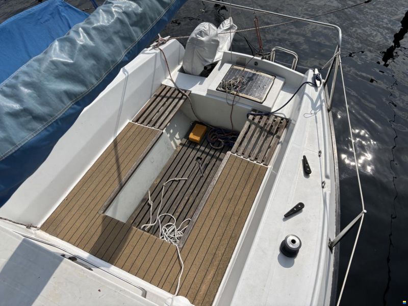 Dufour T6