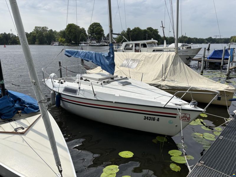 Dufour T6