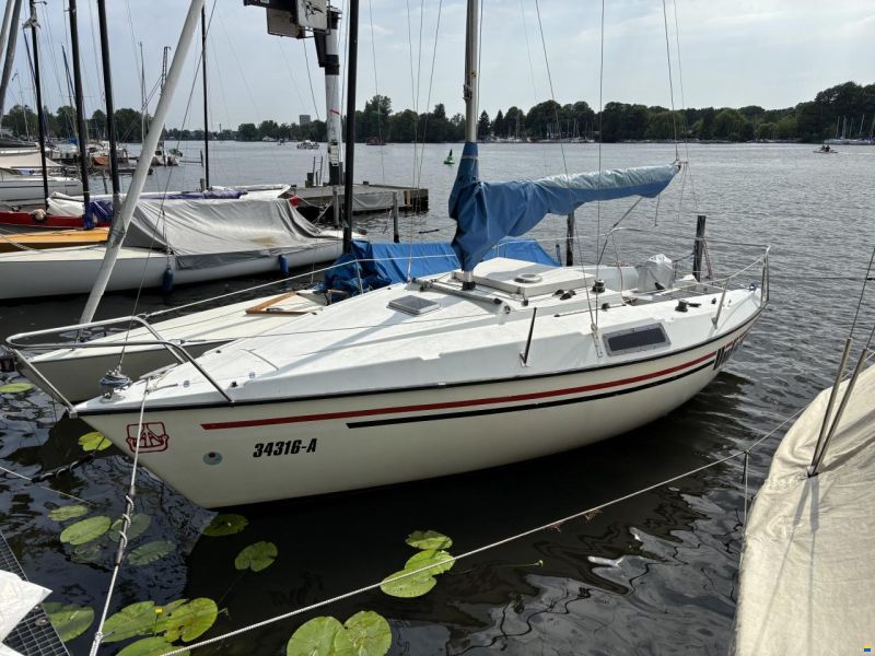 Dufour T6
