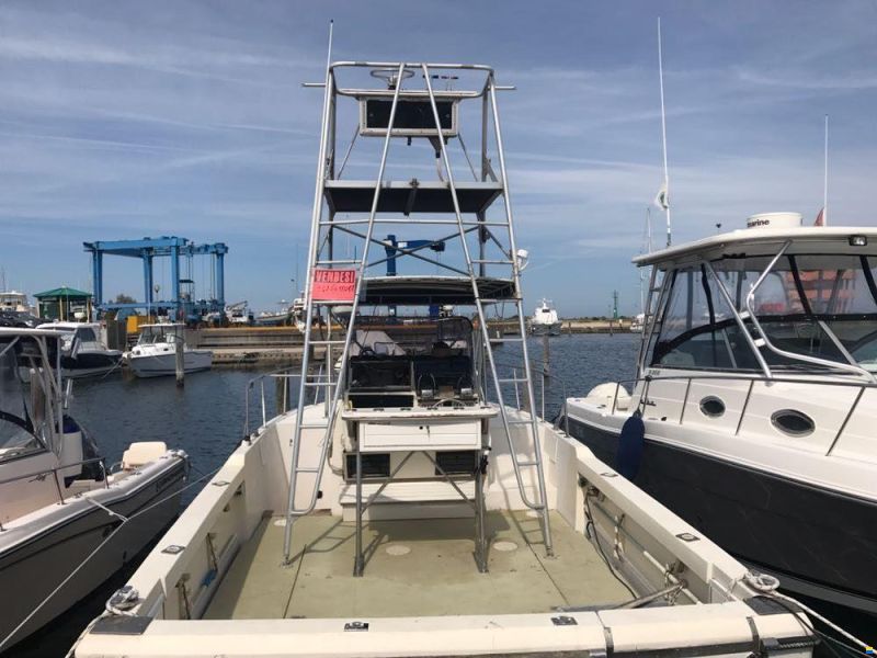 Robalo 26 Cavin Walkaround