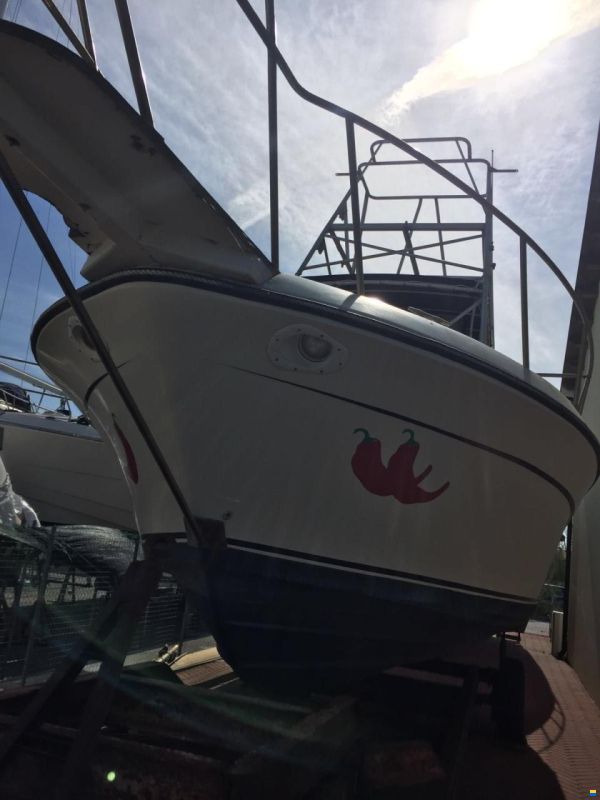 Robalo 26 Cavin Walkaround