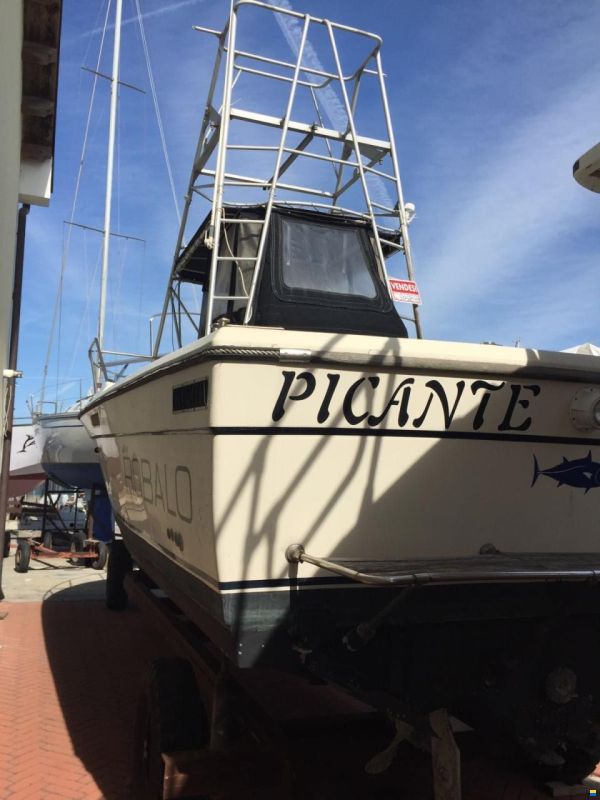 Robalo 26 Cavin Walkaround
