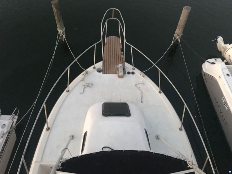 Robalo 26 Cavin Walkaround