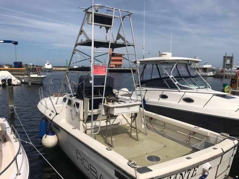Robalo 26 Cavin Walkaround